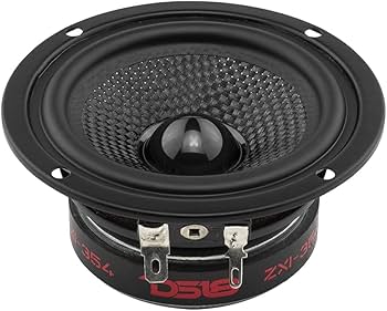 Amazon.com: DS18 ZXI-354 3.5