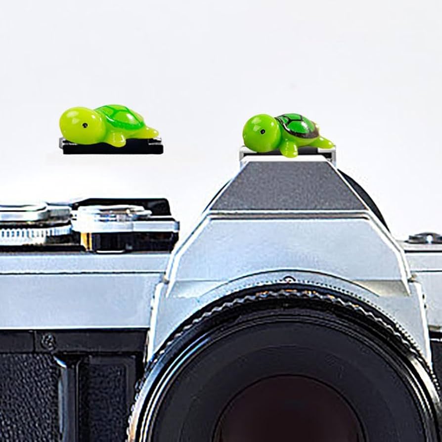 Amazon.com : Camera Hot Shoe Cover, Cute Hot Shoe Cap, Hot Shoe