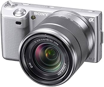 Sony NEX-5 レンズ2本付 ぐるぐるボケヘリオス44M、70-210mm ソニー