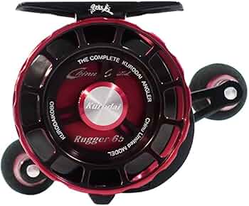 51LqksOryCL._AC_UF350,