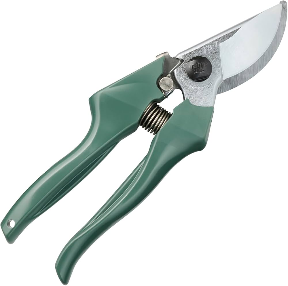 Amazon | アルスコーポレーション(Ars Corporation) 剪定鋏 グリーン