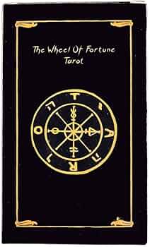 51M1m9CFc6L._AC_UF350,