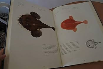 Amazon | 大型本日本産魚類大図鑑 檜山義夫 安田富士郎 著 昭和46年