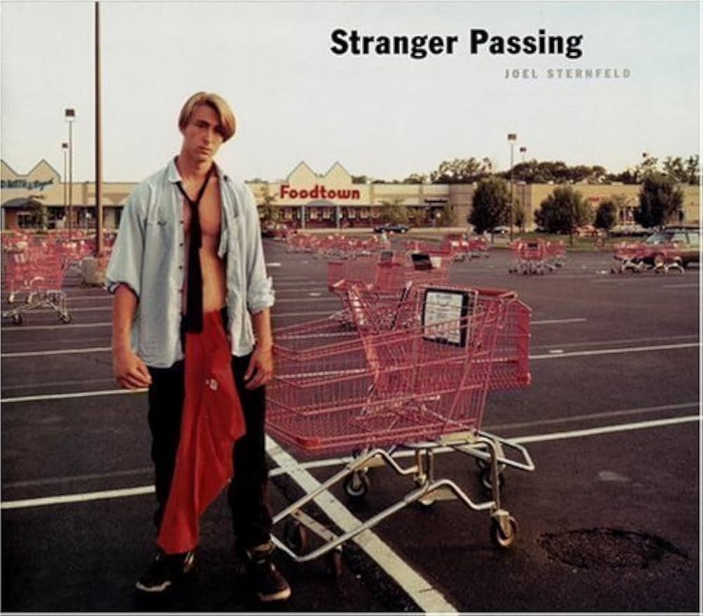 Stranger Passing by Joel Sternfeld (2001-10-12): Joel Sternfeld