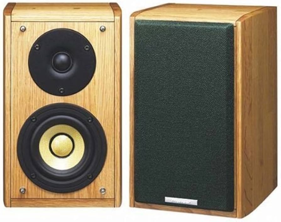 Amazon.co.jp: パイオニア ピュアモルトスピーカー (1台) S-A4SPT-PM