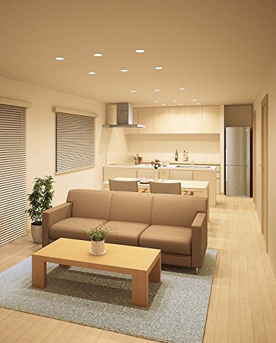 Amazon | ODELIC(オーデリック) 【工事必要】 LEDダウンライト 【白熱