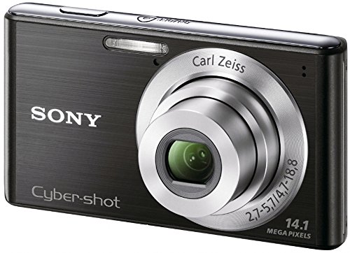 Amazon | SONY デジタルカメラ Cyber-Shot(サイバーショット) W530
