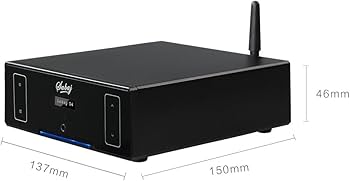 Amazon.co.jp: Sabaj D4 DAコンバーター & ヘッドホンアンプ 一体型