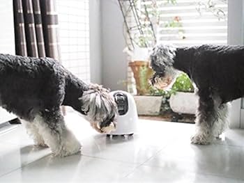 Amazon.co.jp: ilbo 移動式 お留守番 ネットワークカメラ 遠隔操作で