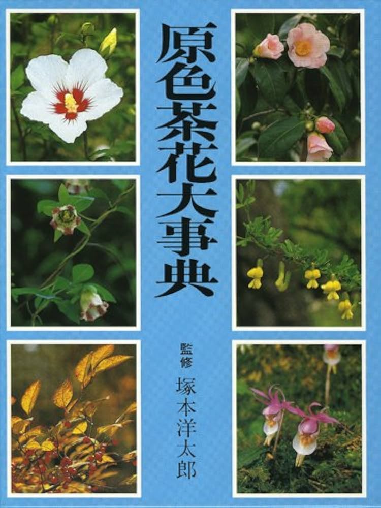 Amazon.co.jp: 原色茶花大事典 : Japanese Books
