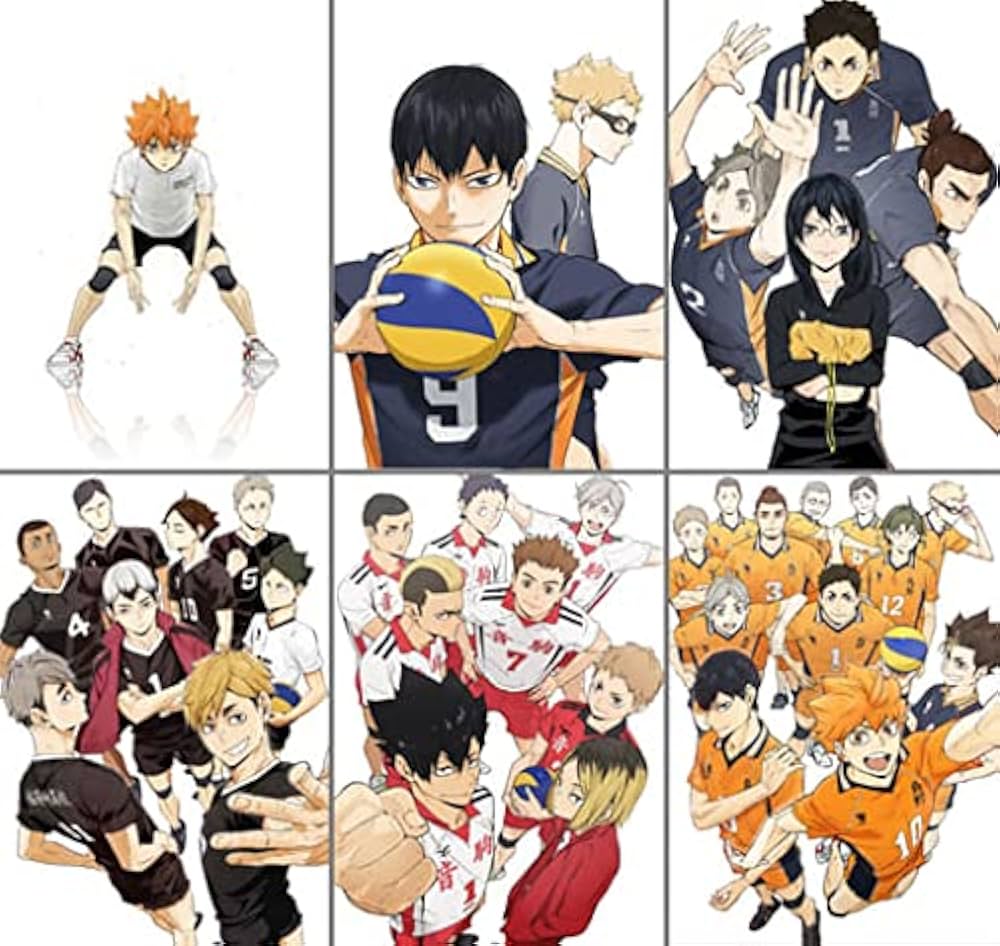 ハイキュー!! TO THE TOP 全6巻+オリジナル1巻 DVD