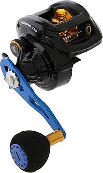 Amazon.co.jp: AbuGarcia (アブガルシア) OCEANFIELD BG 右巻き パワー