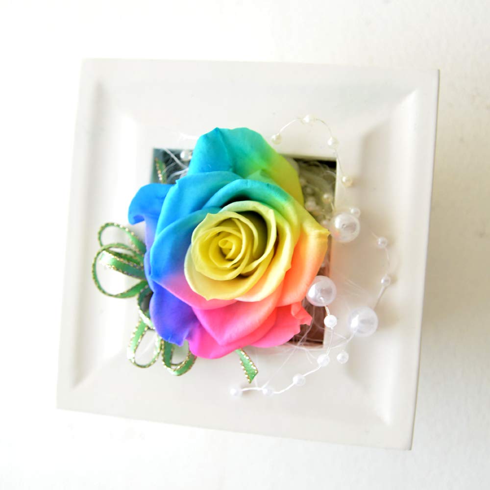 Amazon｜プリザーブドフラワーギフト レインボーローズ フレーム 1個