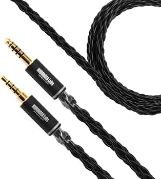 51PvOYtmTrL._AC_UF350,