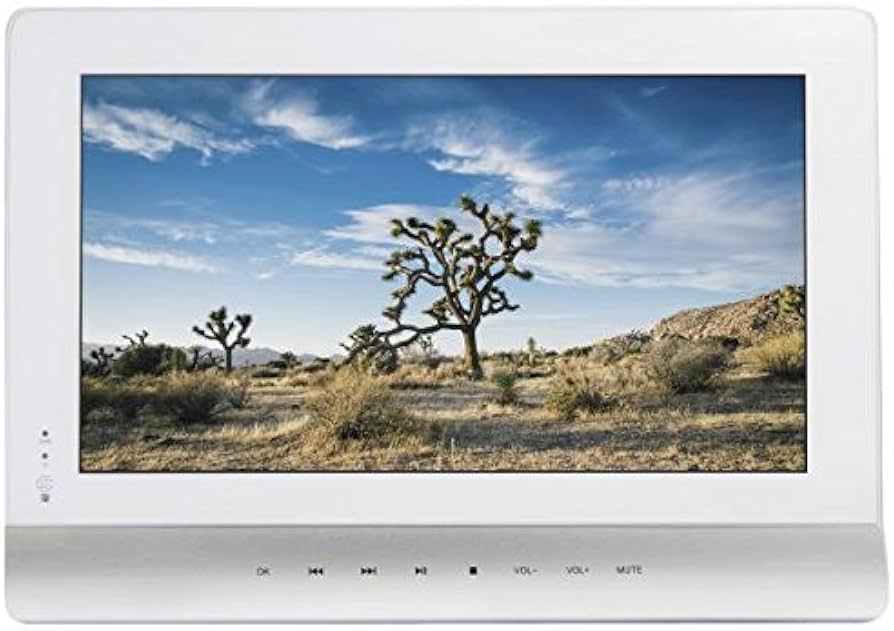 Amazon | AAZV Wis 10インチ防水ポータブルブルーレイプレーヤー AS