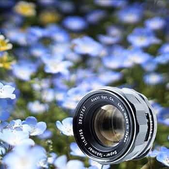 51QD71rt7FL._AC_UF350,