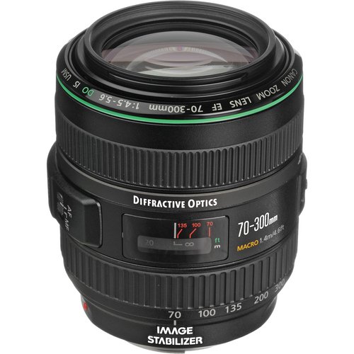 Amazon.com : Used Canon 70-300mm F4-5.6 is USM EF DO : Camera