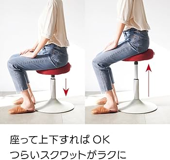 Amazon.co.jp: ディノス 健康 健康雑貨 MIZUNO/ミズノ スクワット