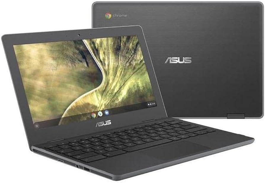 Amazon.com: Asus Chromebook C204 11.6