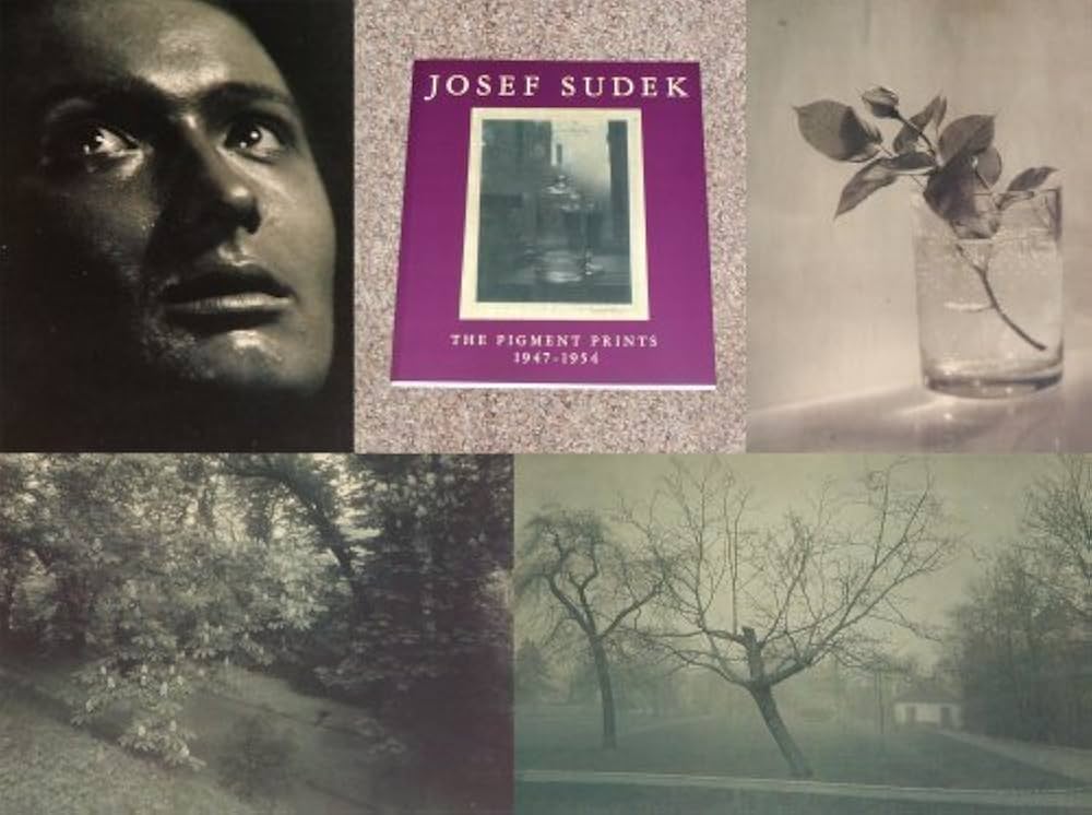 Amazon.co.jp: Josef Sudek: The Pigment Prints, 1947-1954 : 本