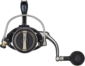 Amazon | ダイワ(DAIWA) 21 セルテートSW 8000-H | ダイワ(DAIWA