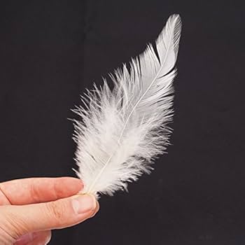 Amazon | スペイコック [027-Fe-01］ホワイト/フライマテリアル 羽根