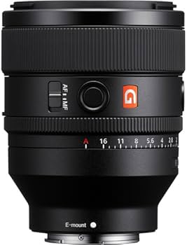 Amazon.com : Sony FE 50mm F1.2 GM Standard Prime Lens (SEL50F12GM