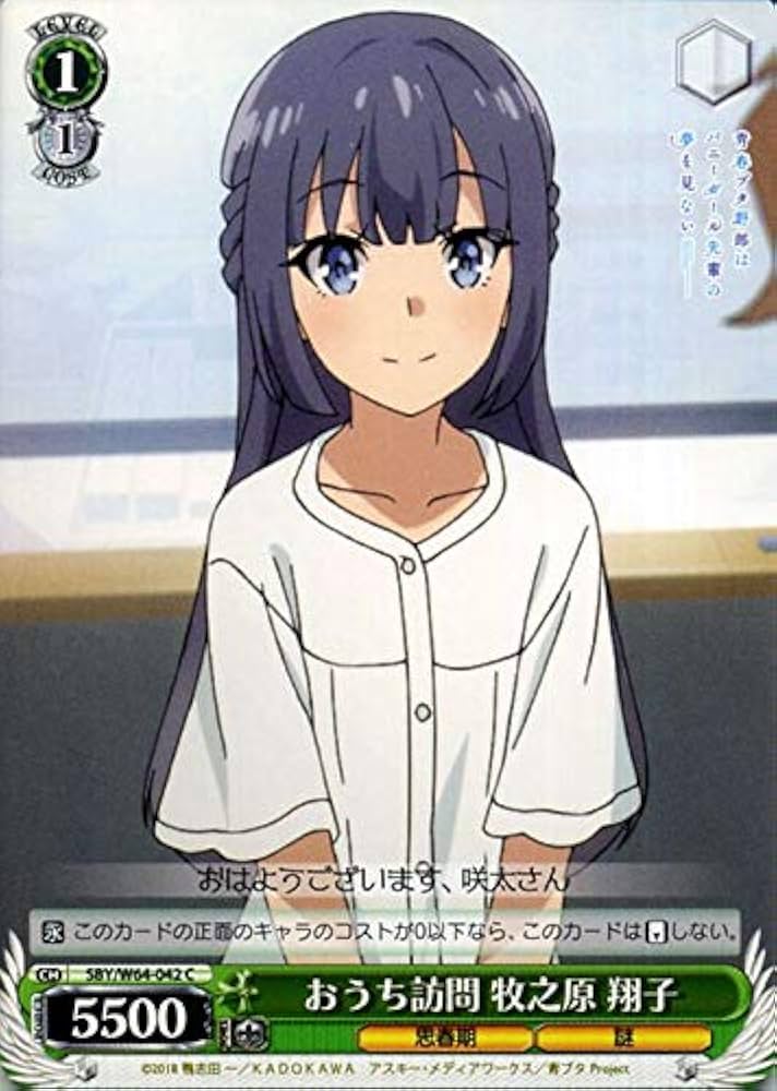 Amazon.co.jp: ヴァイスシュヴァルツ 青春ブタ野郎はバニーガール先輩