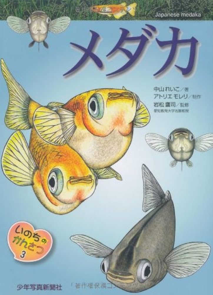 メダカ (いのちのかんさつ) | 中山 れいこ, アトリエモレリ |本 | 通販