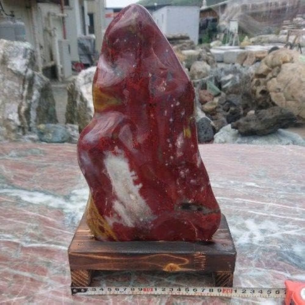 Amazon.co.jp: アリゾナ産 珪化木 木化石 鑑賞石 原石 化石 置物