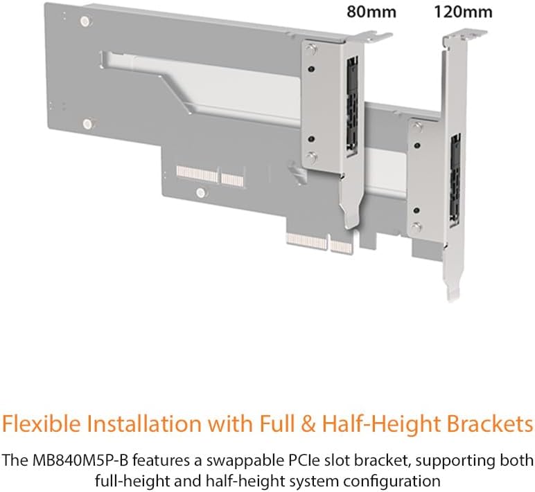 池本忠義 ぶどう柄大鉢 池本忠義 ぶどう柄大鉢 割引