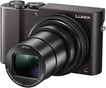 Amazon.com : Panasonic LUMIX ZS100 4K Digital Camera, 20.1