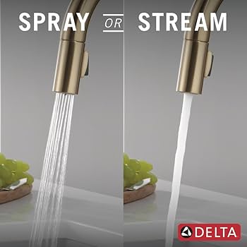 51Ry5OA-kbL._AC_UF350,