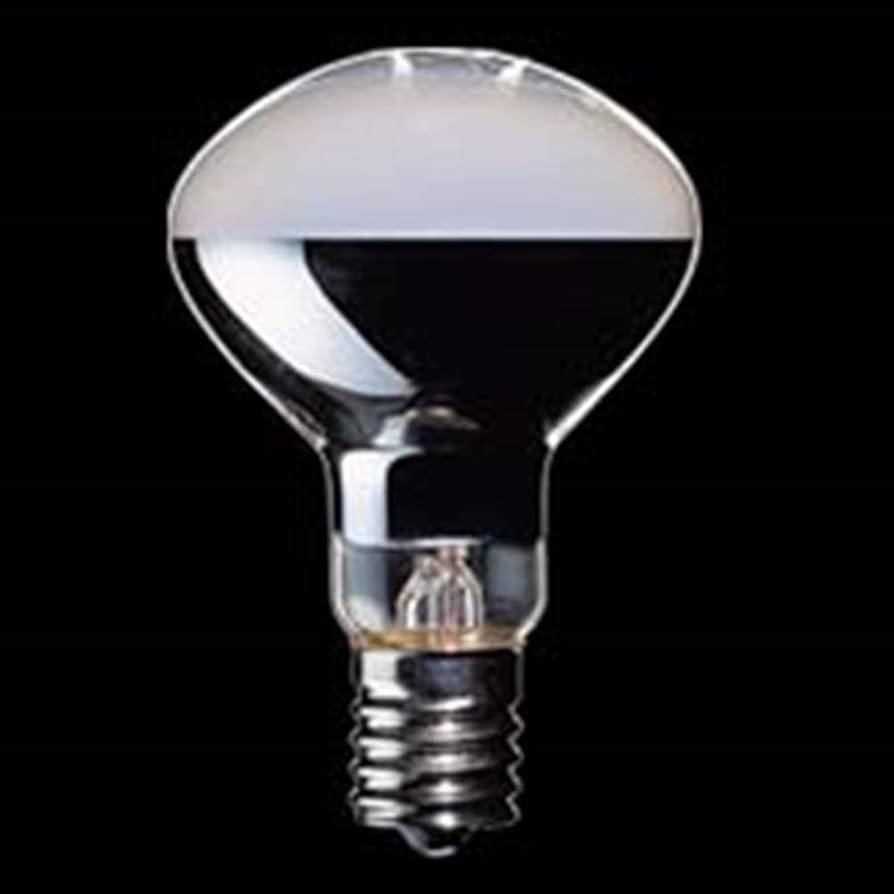 Amazon | KR100/110V45WR50 | TOSHIBA(東芝) | クリプトン電球 通販