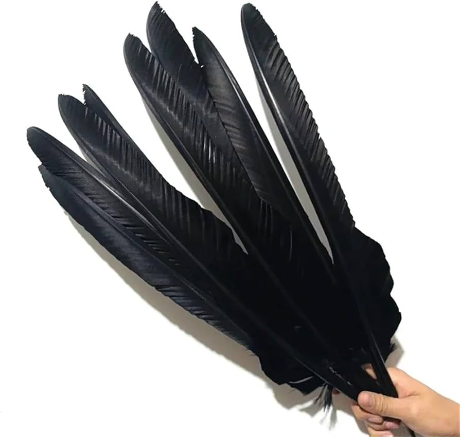 Amazon.co.jp: 10 ピース/ロット天然ワシの羽 40 50 60 70 センチ