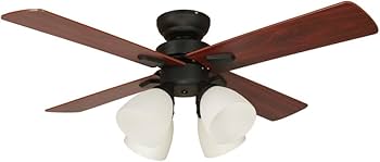 Amazon | plusmore(プラスモア) シーリングファン Windouble 4灯 BIG