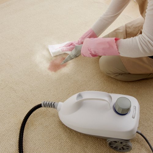 Amazon.co.jp: アイリスオーヤマ スチームクリーナー ホワイト STM-410