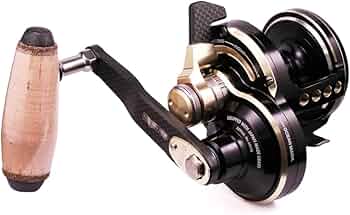 51TMqevqgaL._AC_UF350,