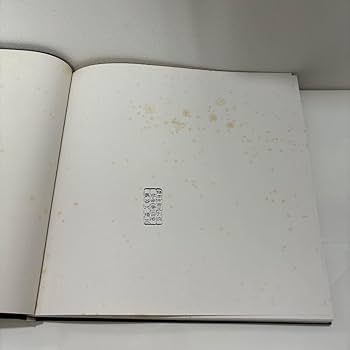 Amazon.co.jp: 超レア!山口長男 作品集乾由明56年講談社大岡信カタログ