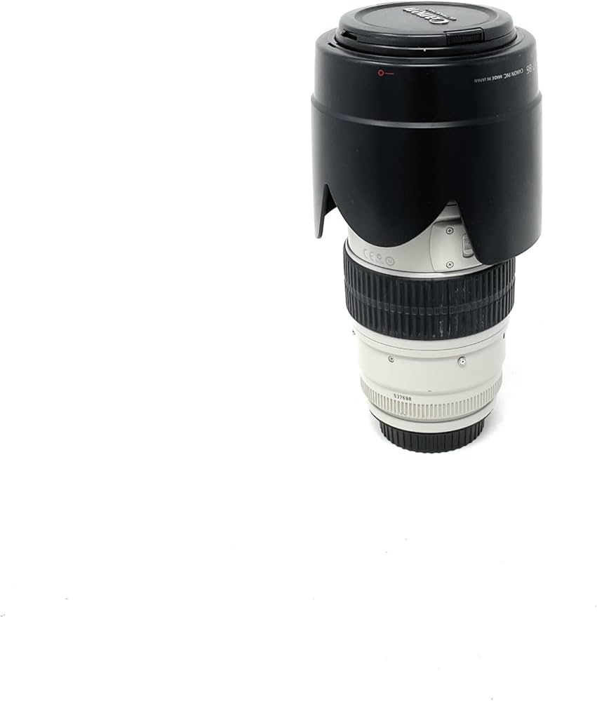 Amazon.com : Canon EF 70-200mm f/2.8L is USM Telephoto Zoom Lens