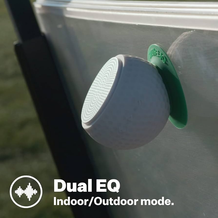 51Tjd4GYWZL._AC_UF894,