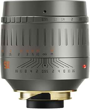 51V24LxfP2L._AC_UF350,