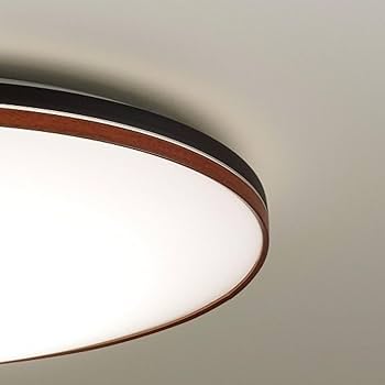 Amazon | 大光電機 DAIKO LEDシーリングライト LED内蔵 リモコン付 調