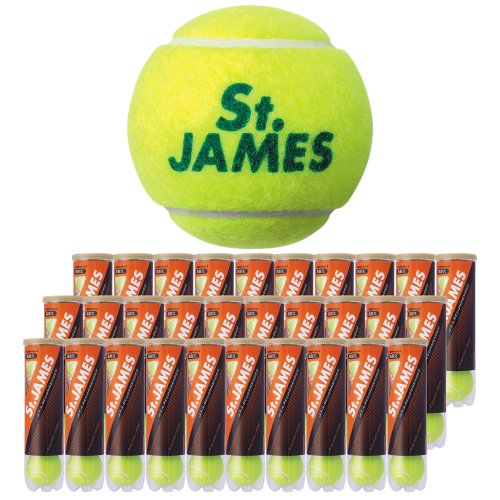 ダンロップ セント・ジェームス 4ヶ入 30缶 (テニスボール) 価格比較