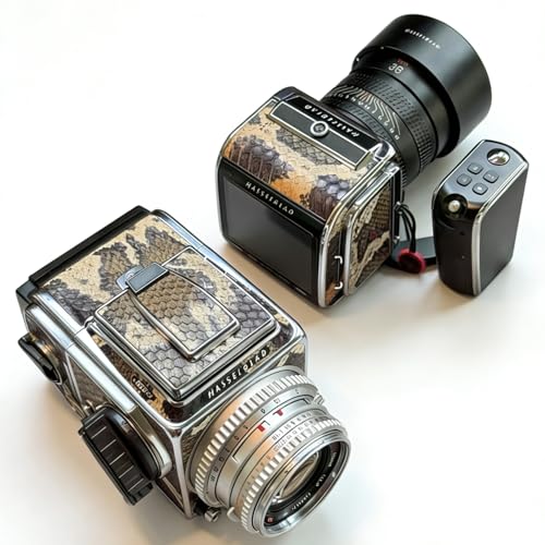 hasselblad 503cx」の人気商品一覧 | 安い商品を通販サイトから探す