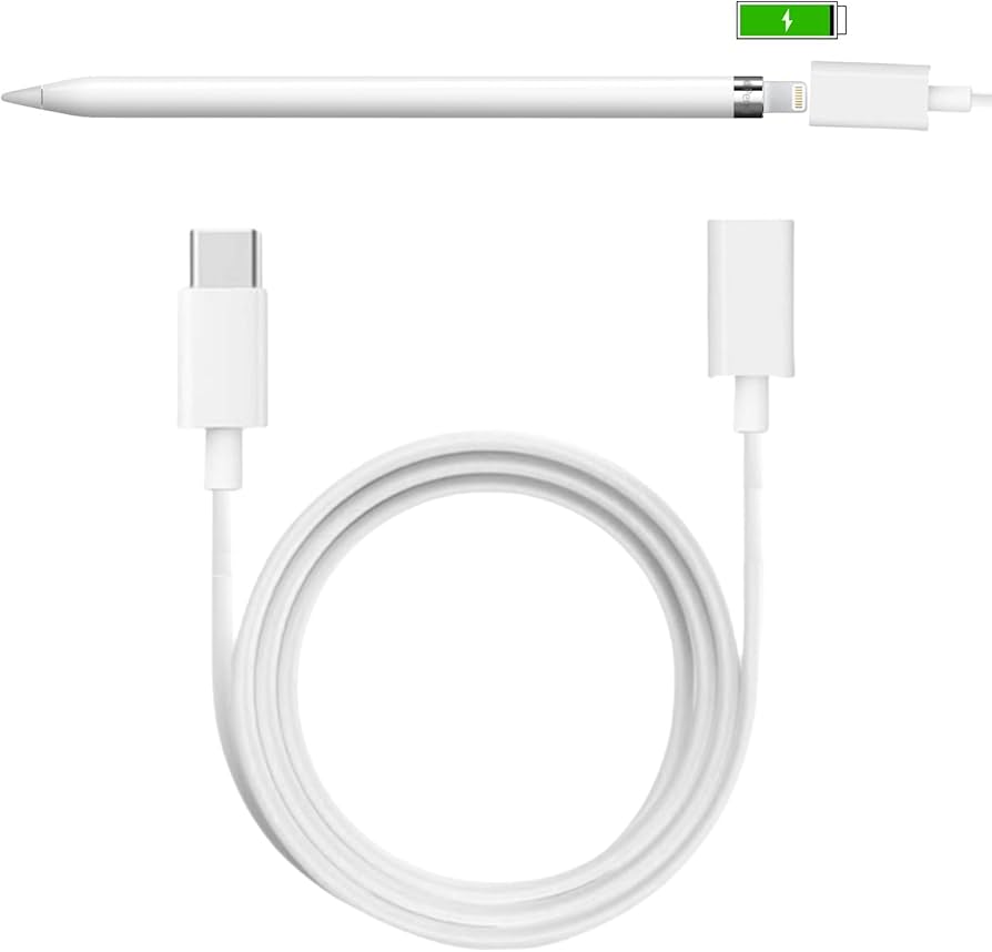 Amazon.com: for Apple Pencil Charger,3.3FT/1Pack USB C Male to