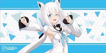 51W9c51OnaL._AC_UF350,