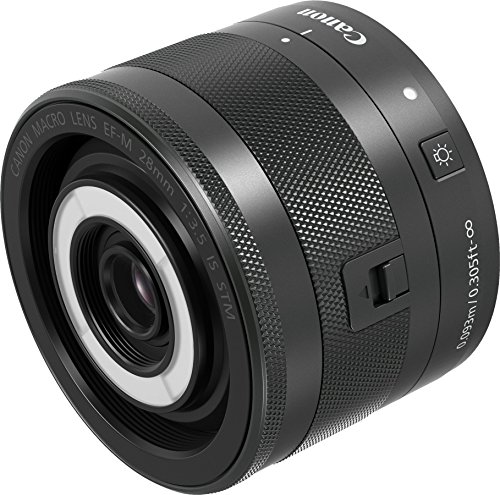 Amazon.com : Canon EF-M 28mm f/3.5 Macro is STM International
