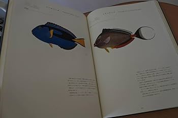 Amazon | 大型本日本産魚類大図鑑 檜山義夫 安田富士郎 著 昭和46年