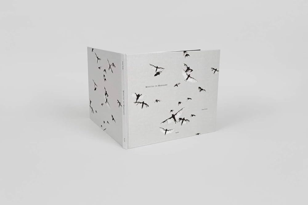 Trent Parke: Minutes to Midnight: Parke, Trent: 9783869302058